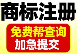 商標(biāo)駁回復(fù)審申請(qǐng)收文是什么意思